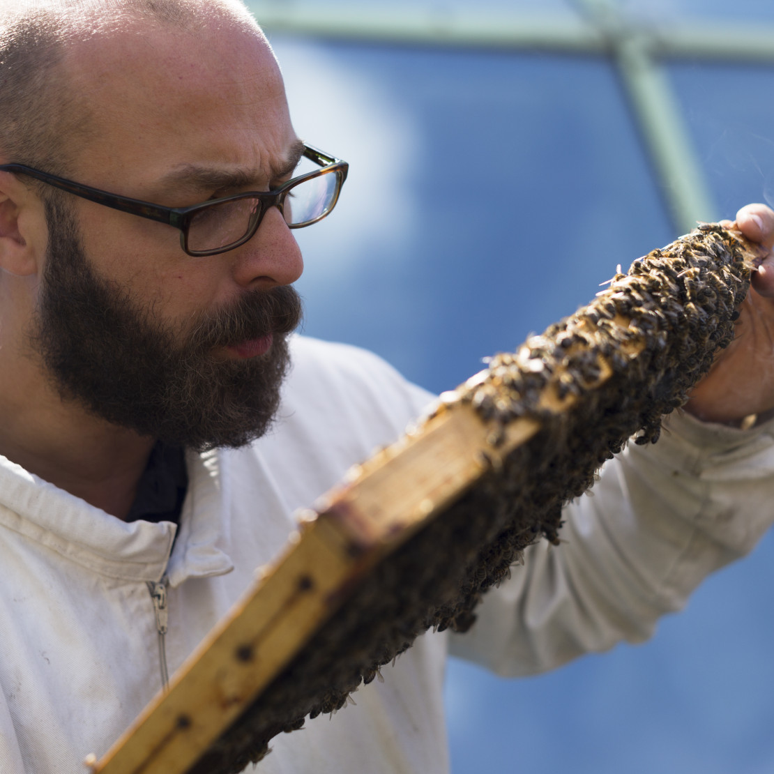 03-1_L1006222_FARBE (2).jpg