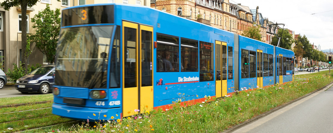 1-2_kurze-wege-kassel.jpg