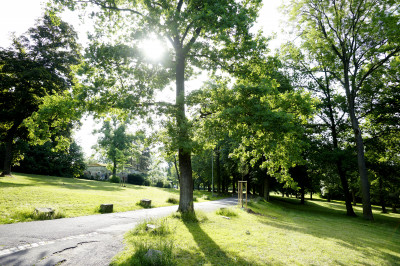 Symbolbild Klimacheck des Kassel Convention Bureaus 