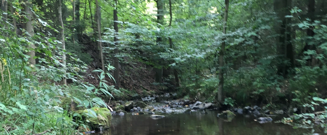 Natourijo1 schmal.png