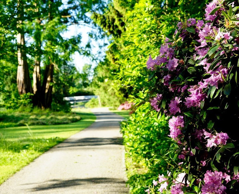 Siebenbergen14_webversion.1024x schmal 3.jpg