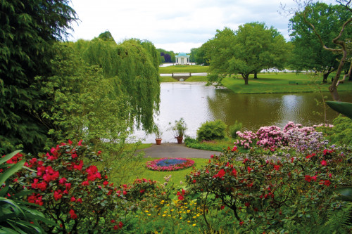 Hier blühen Sie und Ihre Gäste auf