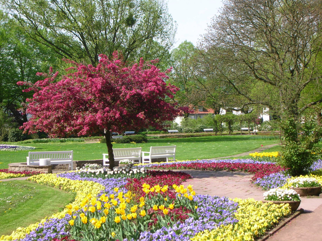 stadthallengarten.JPG