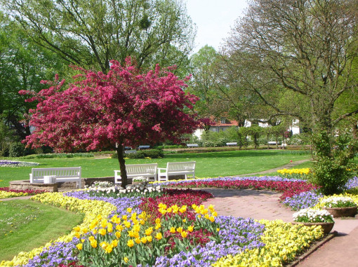 stadthallengarten.JPG