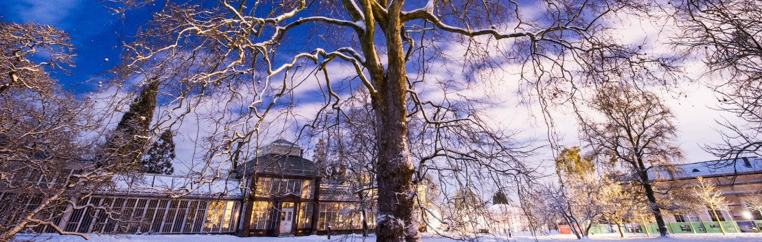 Wilhelmshoehe_2015-01-31_D3s_0269-1 beschnitten groß 3.jpg